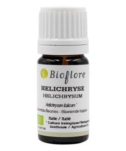 Immortelle, Helichrysum (Helichrysum italicum) BIO, 10 ml